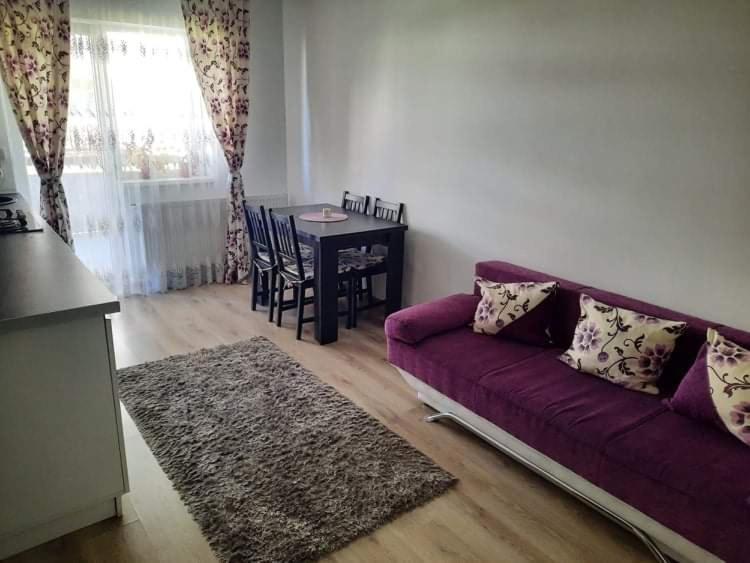 Diana Apartament Apartment Brasov Ngoại thất bức ảnh